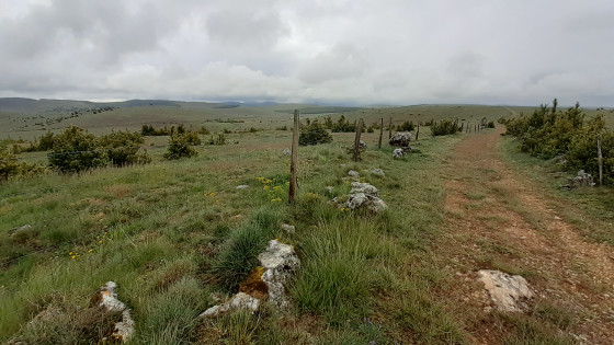 Le Causse Méjean avant Hures