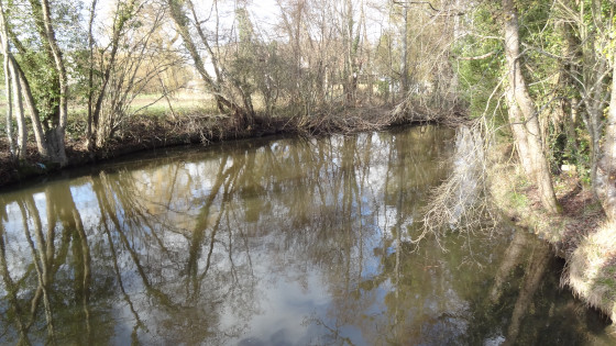 Le Cens se jette dans le canal d\'Orléans