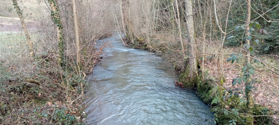 Le Céret
