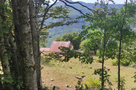 Le chalet de Lachat