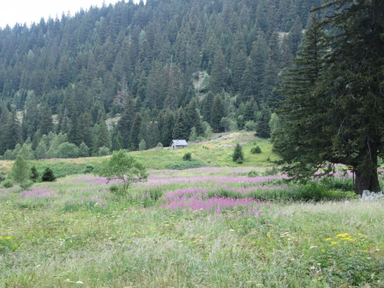 La cabane de Prévourey