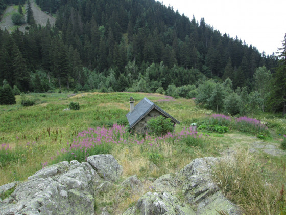 La cabane