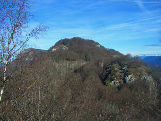 Le Chamois