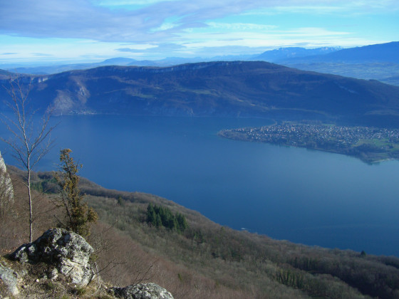 Le Chamois