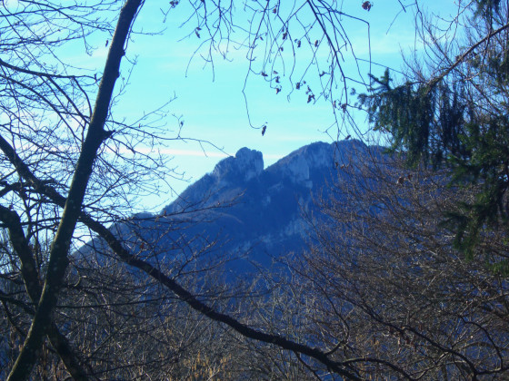 Le Chamois