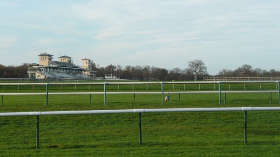 Le champ de courses