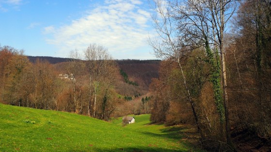 Le Champ du Moulin
