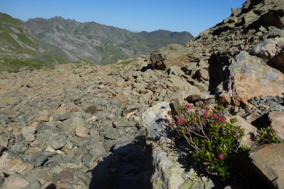 Le chaos de rochers de Peyreget