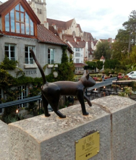Le Chat de Marcel à Dole