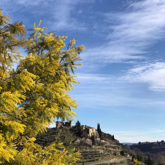 Le ch&acirc;teau d'Ucel