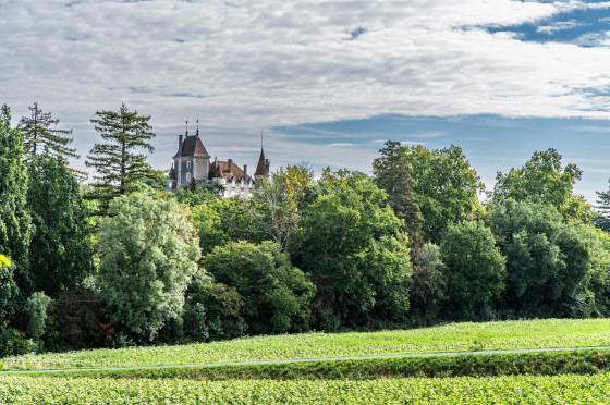 Le ch&acirc;teau de Cadr&egrave;s