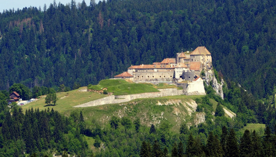 Le Château de Joux