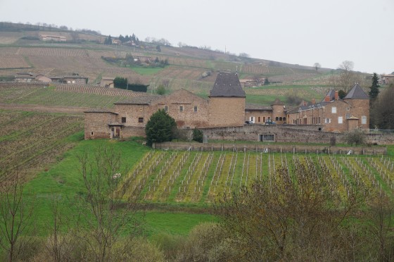 Le chateau de Juliénas