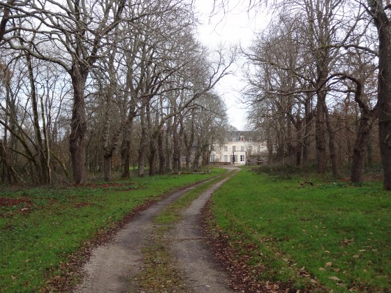 Le château de la Motte-Longuet