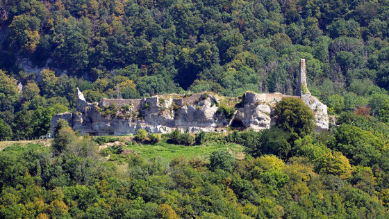 Le ch&acirc;teau de Montfaucon