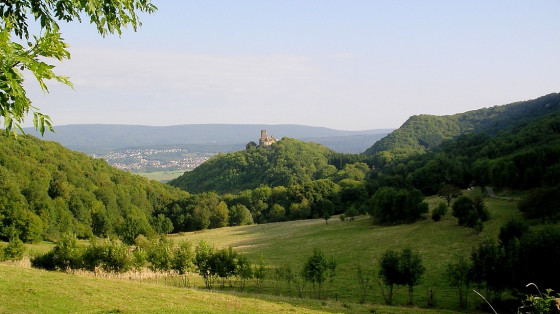 Le château de Montfaucon
