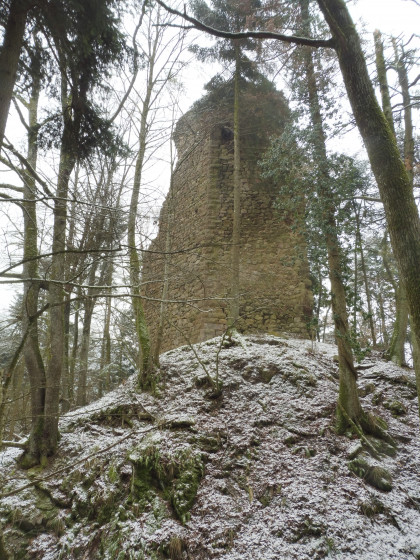 Le château de Reichenstein