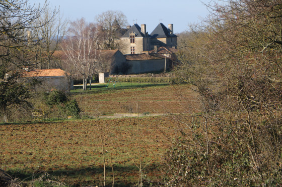Le château de Reigné
