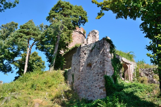 Le château de Ribeaupierre