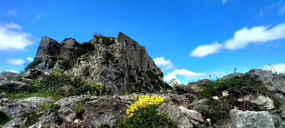le chateau de Roquefixade