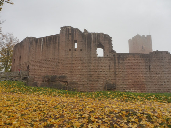 Le château de Wangenbourg