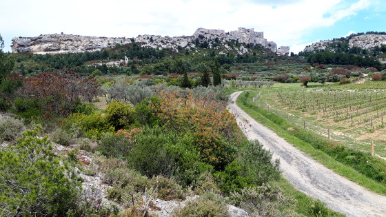 Le château des Baux