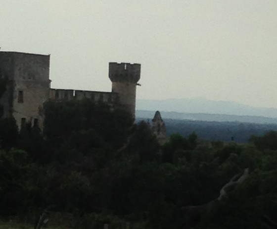 Le chateau des Issarts