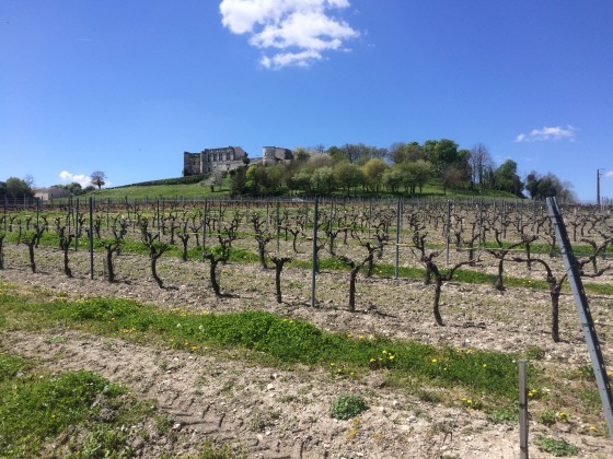 Le château et les vignes de Bouteville