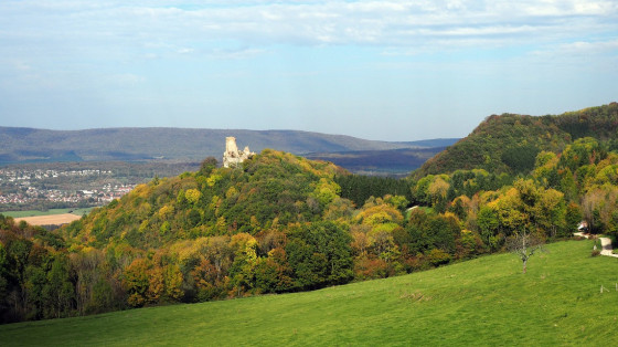 Le château féodal de Montfaucon