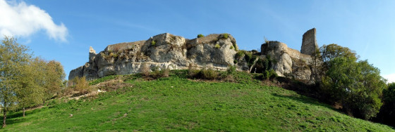 Le château féodal de Montfaucon