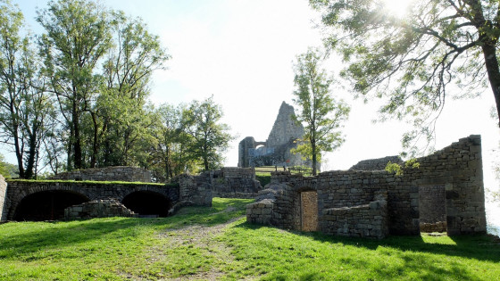 Le château féodal de Montfaucon
