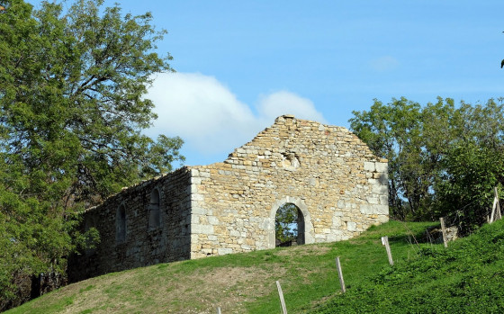 Le château féodal de Montfaucon
