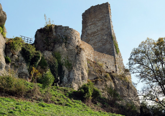 Le château féodal de Montfaucon