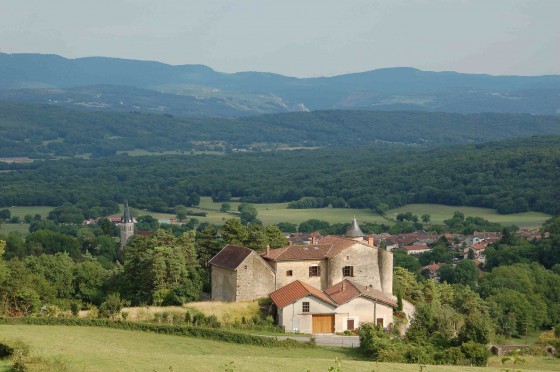 Le château Pinel