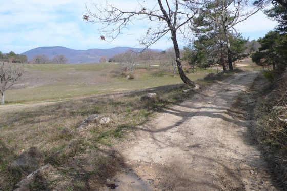 Le chemin à Fontaine des Buis