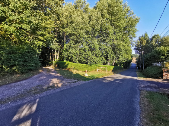 Le chemin &agrave; gauche de la route
