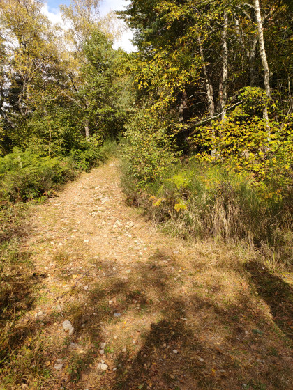 Le chemin à ne pas rater