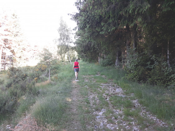 Le chemin apr&egrave;s  la Poire