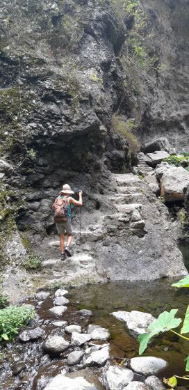 Le chemin après le captage
