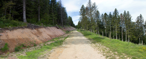 Le chemin au départ de la randonnée