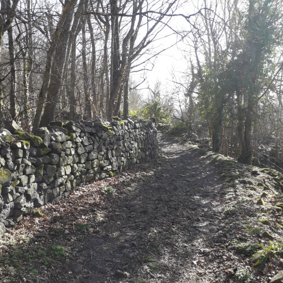 Le chemin au départ de la randonnée