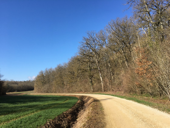 Le chemin blanc
