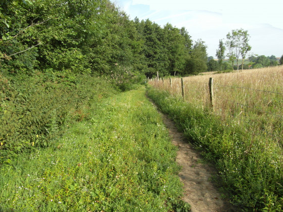Le chemin boueux, en été