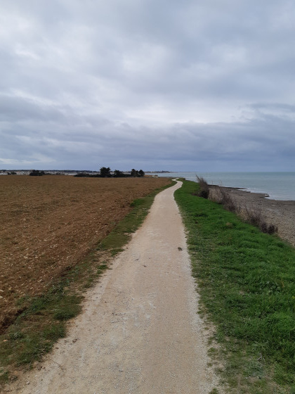 Le chemin côtier entre Rivedoux et la Flotte
