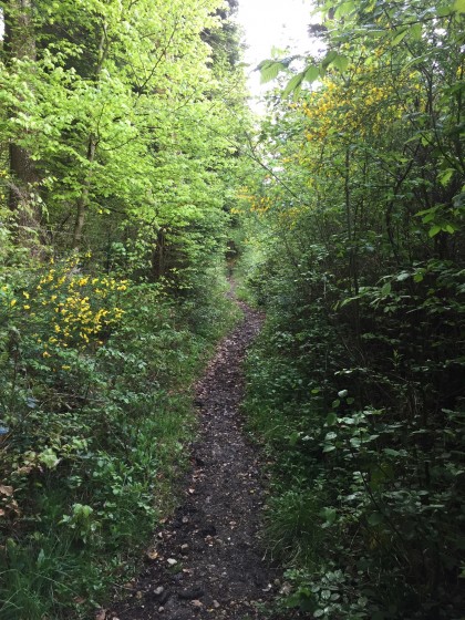 Le chemin creux au départ.