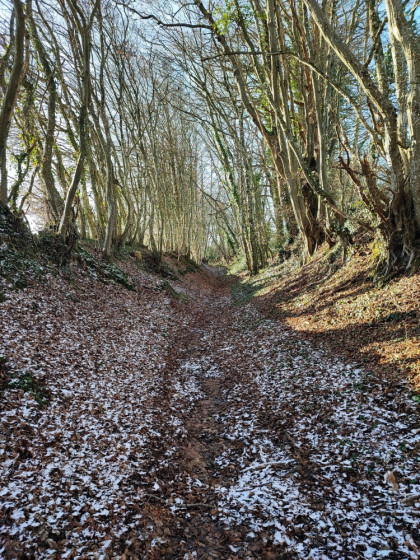 Le chemin 