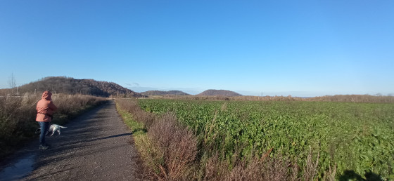 le chemin de binche
