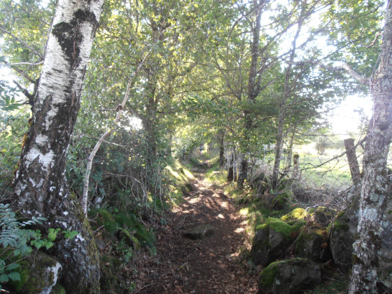 Le chemin de Campgris