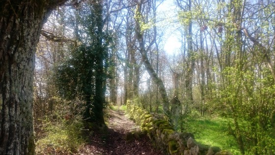Le chemin de César