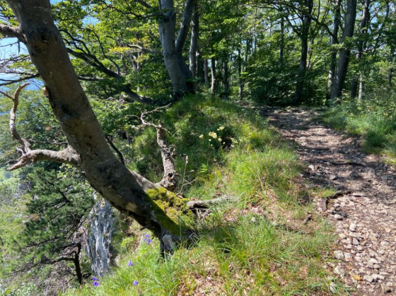Le chemin de crête sur le Roggenfluh